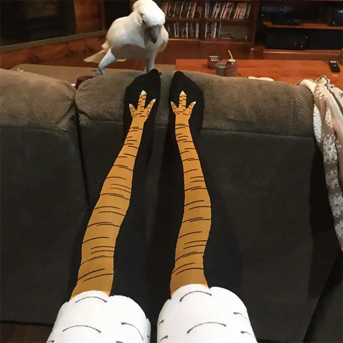 40 Paare 3d lustige Hühner kla – Funny Chicken Leg Socks Bewertung und Preis