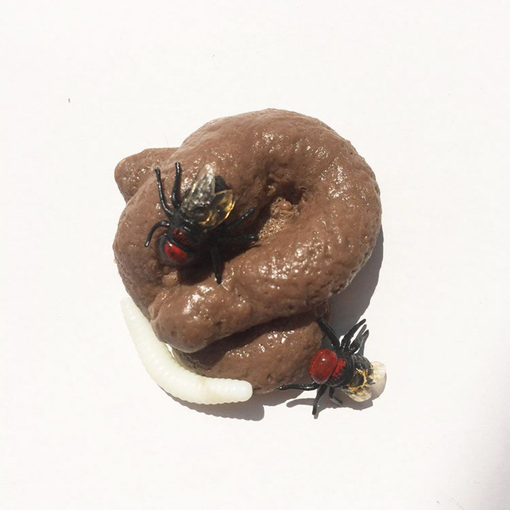 Streich realistische gefälscht – Fake Poop Gag Gift Bewertung und Preis